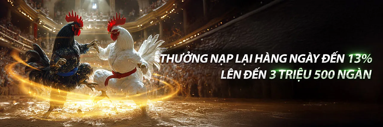 Hip Club - Nền tảng giải trí trực tuyến hàng đầu